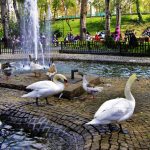 kugulu-park-ankara-cankaya